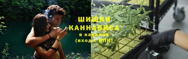 ГАЛЛЮЦИНОГЕННЫЕ ГРИБЫ Пересвет