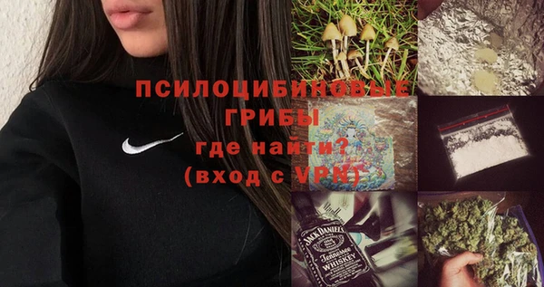 дживик Пестово