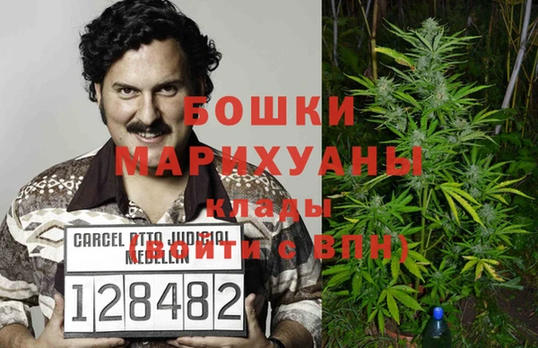 дживик Пестово