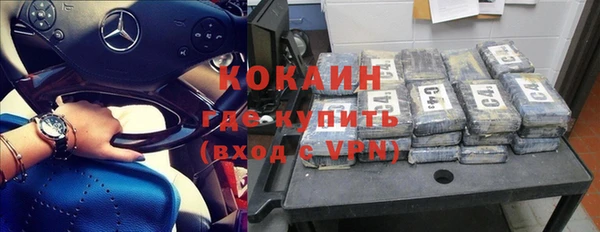 ГАЛЛЮЦИНОГЕННЫЕ ГРИБЫ Пересвет