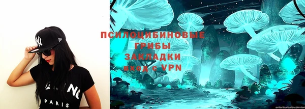 дживик Пестово