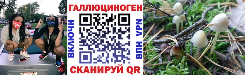 Галлюциногенные грибы мухоморы дарнет шоп Уяр